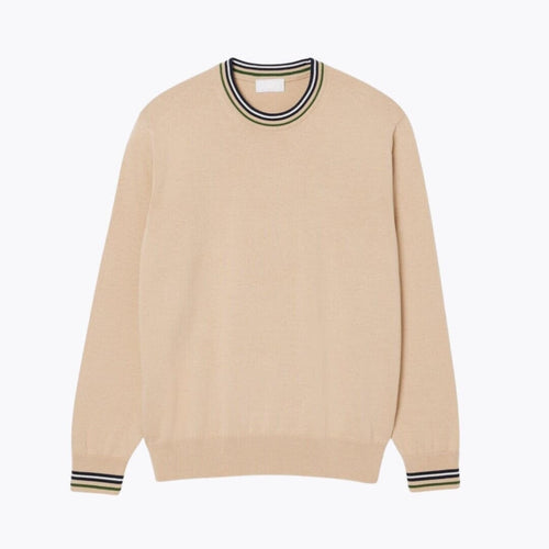 Striped Cotton Jersey Sweater
